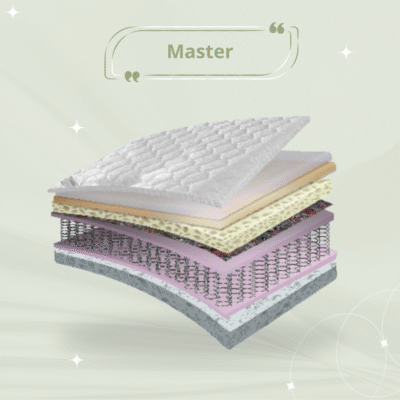 Master (2) (2) Master